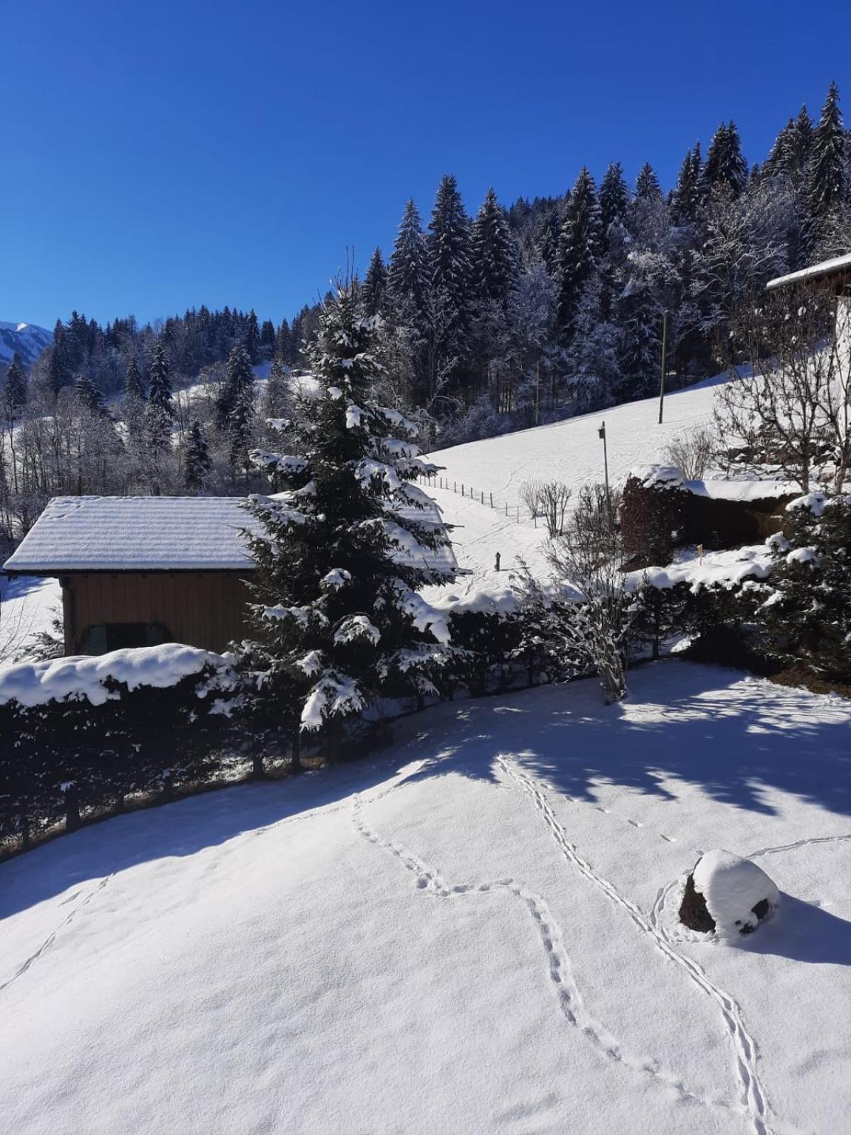 Berghof Mehlan Hotell Fischen im Allgaeu Rom bilde
